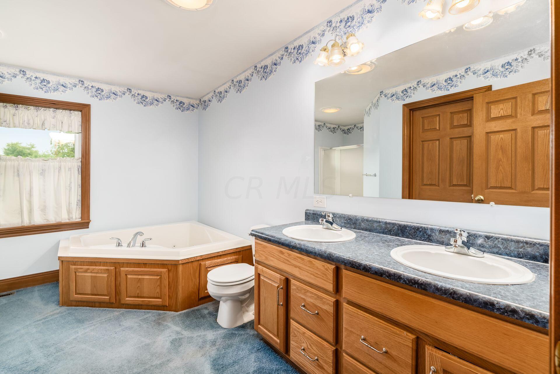 5116 Lock Road Centerburg, OH 43011 - Photo 23 of 45 w/Soaking Tub