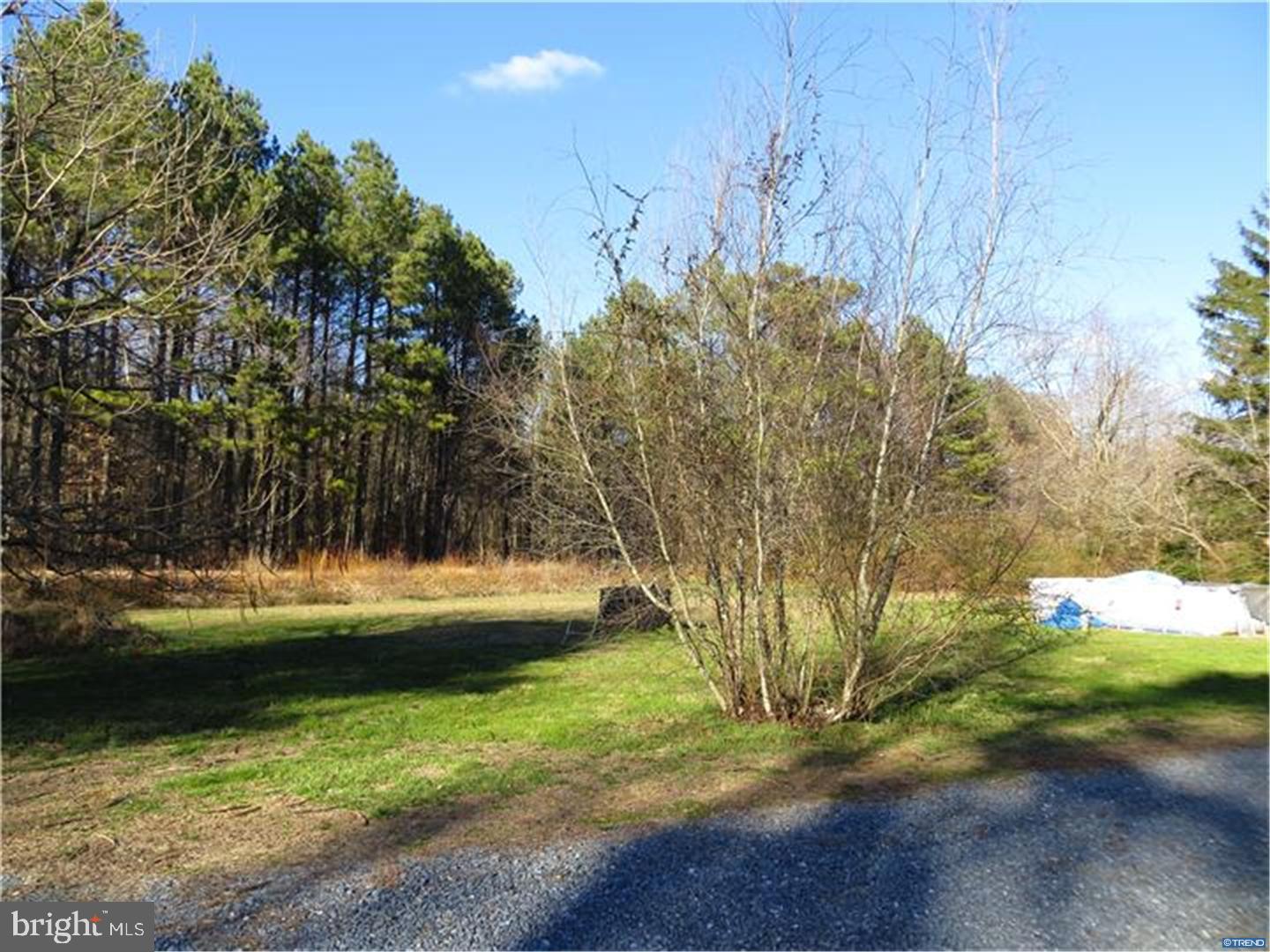 633 Cabin Ridge Road Felton, DE 19943 - Photo 11 of 22 Gallery Image 11