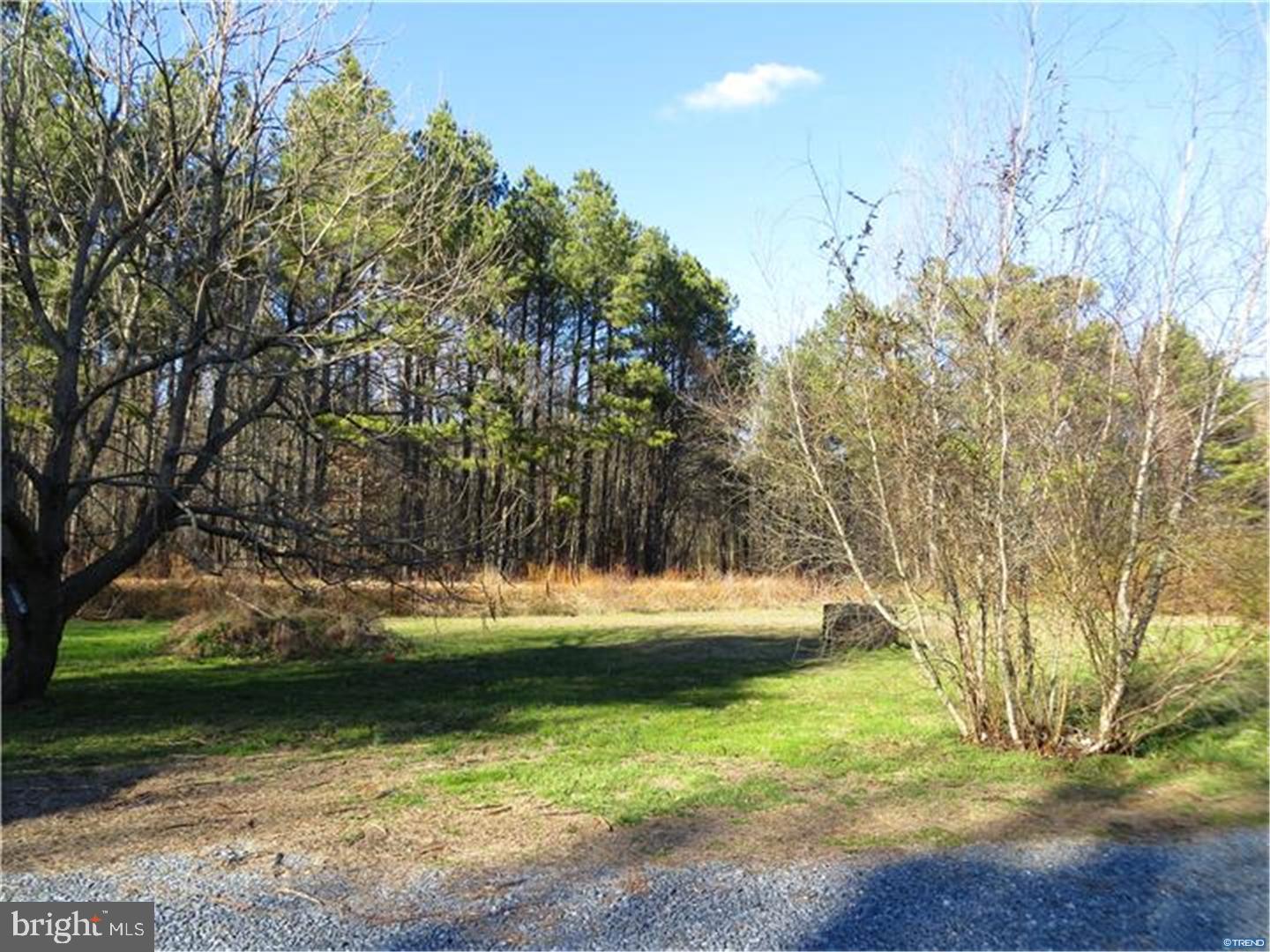 633 Cabin Ridge Road Felton, DE 19943 - Photo 13 of 22 Gallery Image 13