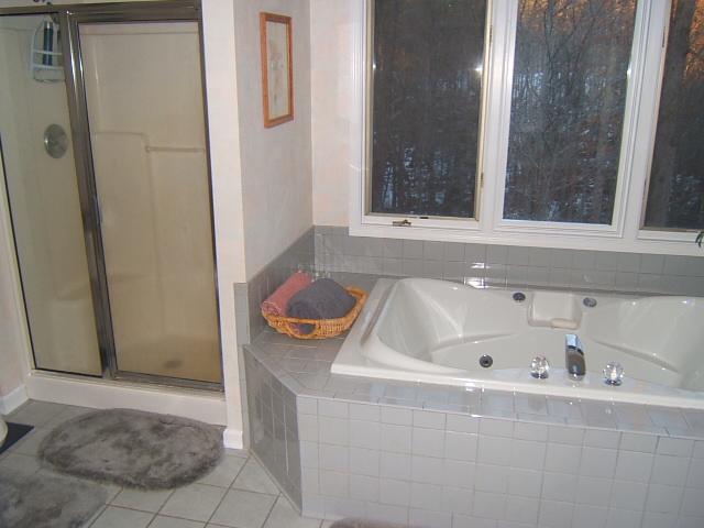 3060 Timberview Road Roanoke, VA 24019 - Photo 21 of 40 Master Bath2