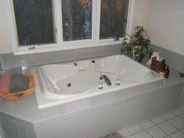 3060 Timberview Road Roanoke, VA 24019 - Photo 22 of 40 Master Jetted Tub