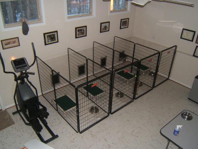 3060 Timberview Road Roanoke, VA 24019 - Photo 34 of 40 Kennel Area