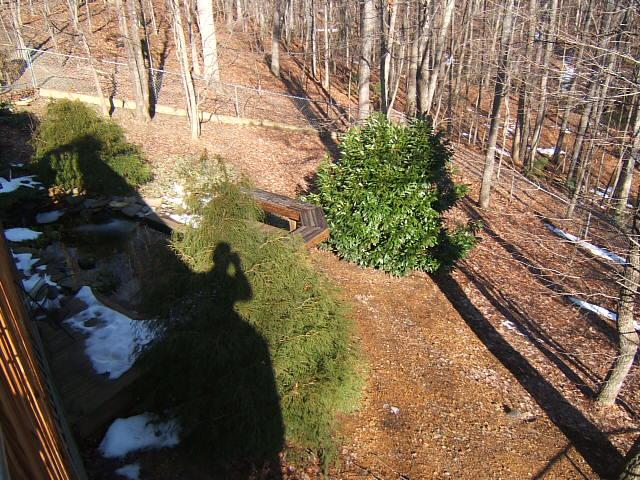 3060 Timberview Road Roanoke, VA 24019 - Photo 37 of 40 Yard
