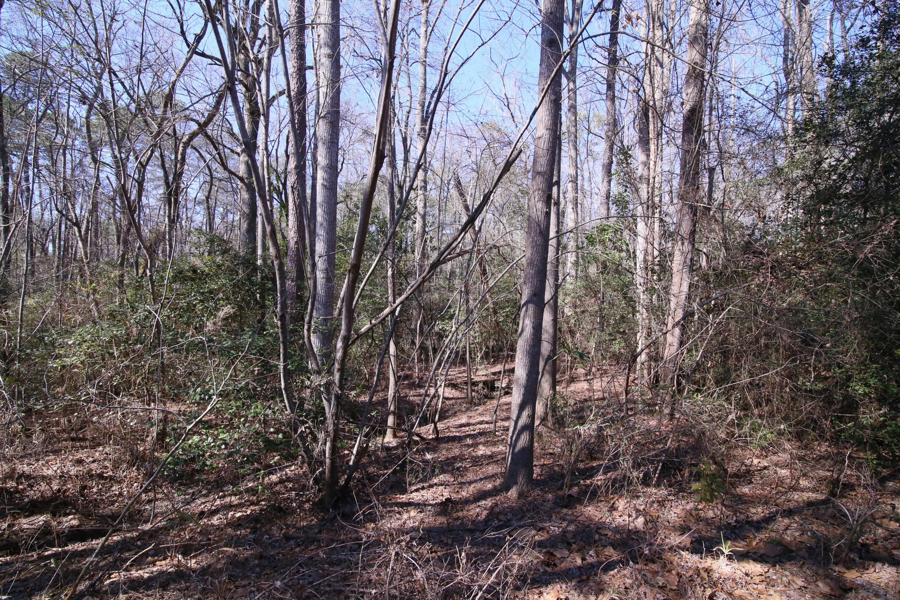2305 Longleaf Drive Southwest Pinehurst, NC 28374 - Photo 26 of 28 Back View