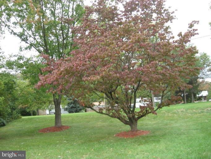 4020 Rouen Road Randallstown, MD 21133 - Photo 2 of 12 Back yard