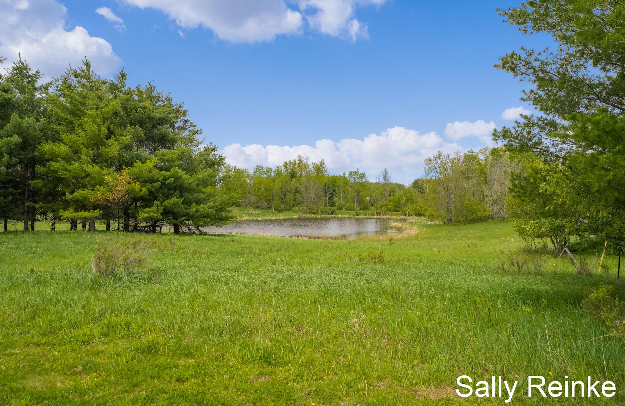 9 9 Mile Road Reed City, MI 49677 - Photo 5 of 31 _CR_0753