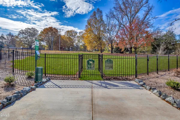 a view of a park with a large trees