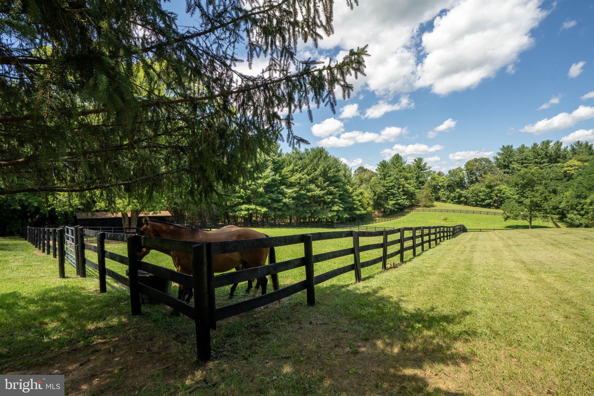 459 Burch Lane Boyce, VA 22620 - Photo 40 of 56