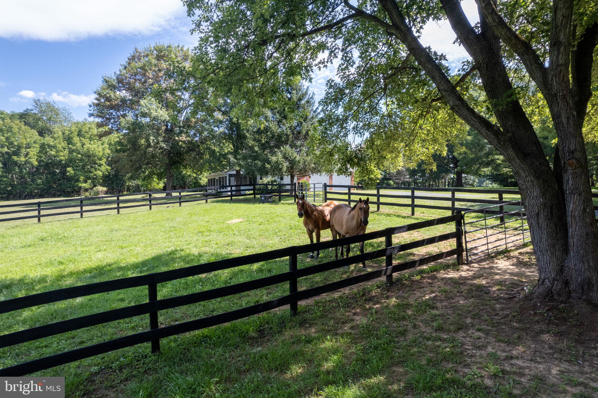 459 Burch Lane Boyce, VA 22620 - Photo 41 of 56