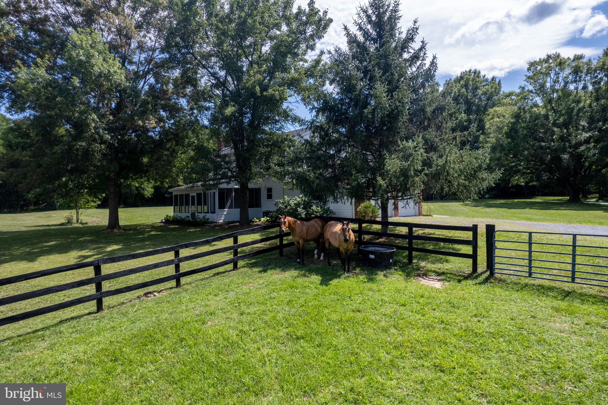 459 Burch Lane Boyce, VA 22620 - Photo 43 of 56