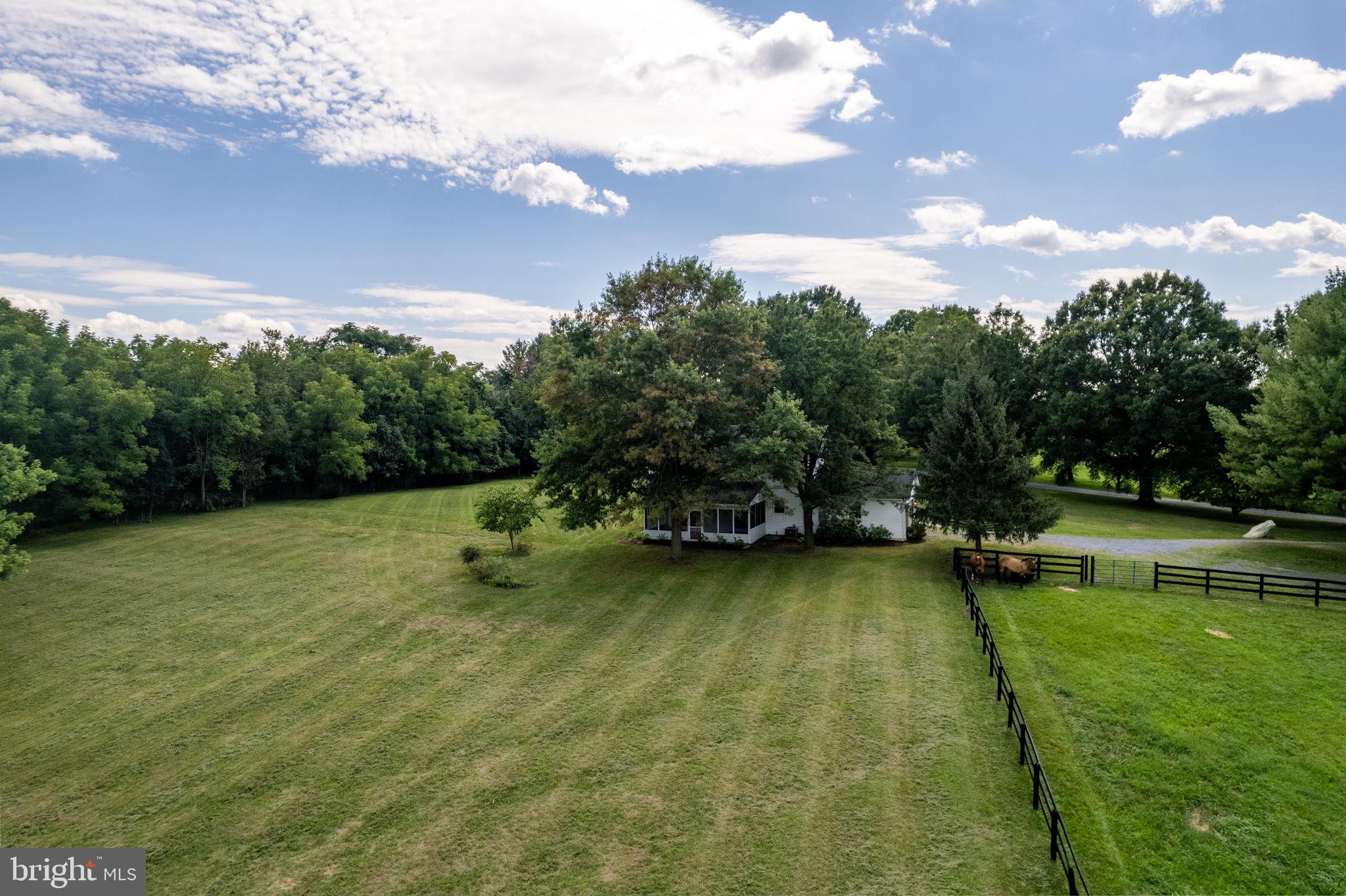 459 Burch Lane Boyce, VA 22620 - Photo 44 of 56