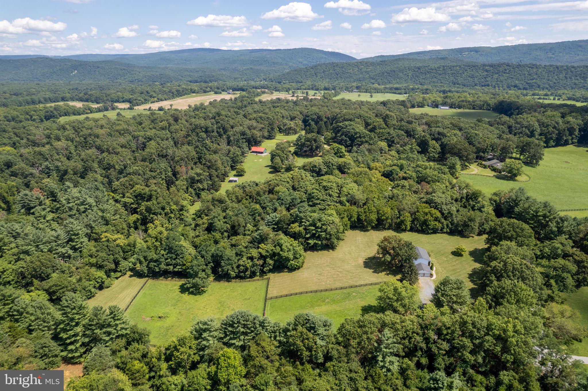 459 Burch Lane Boyce, VA 22620 - Photo 55 of 56