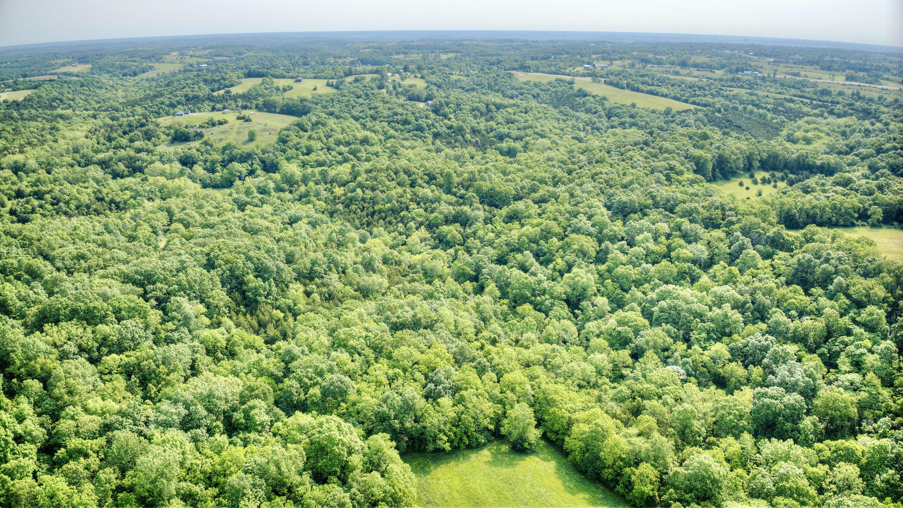 0 Peach Grove Road California, KY 41007 - Photo 13 of 22 11