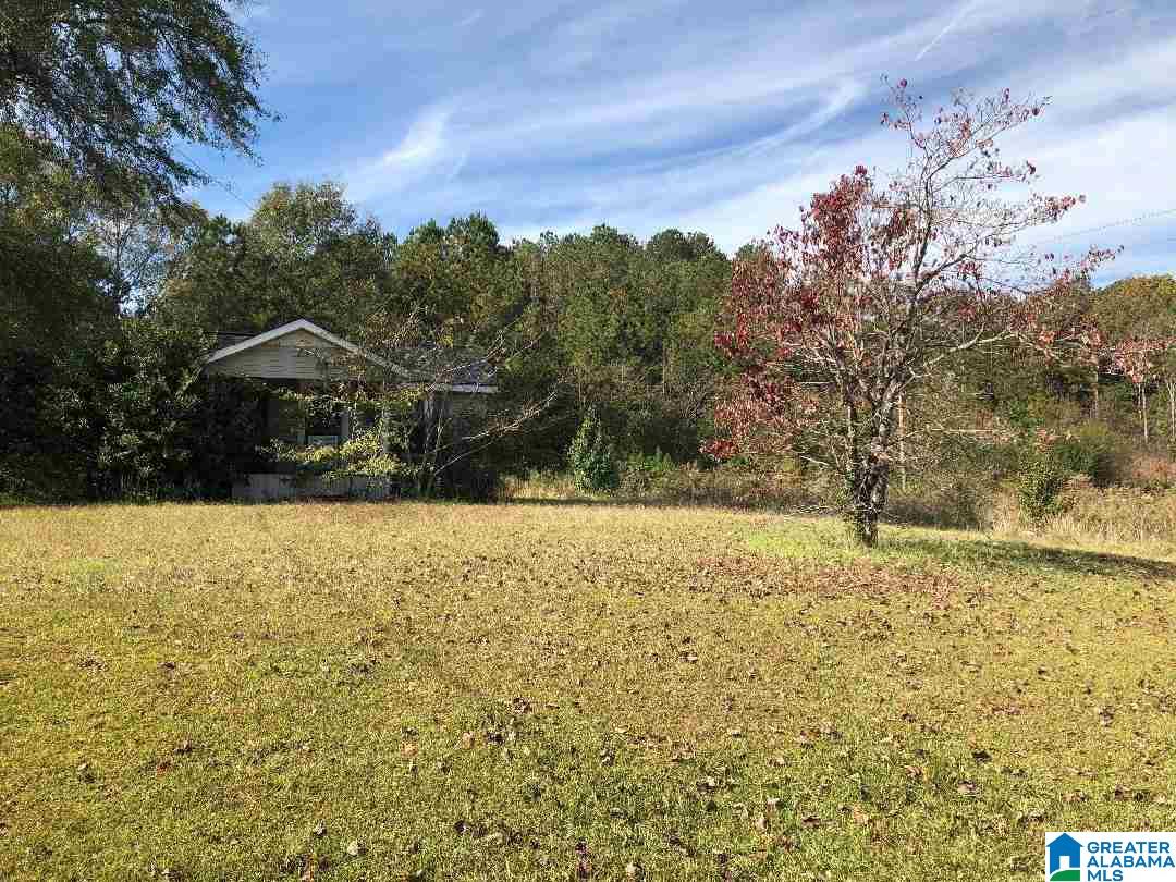 980 Turner Road, Unit ADJOINING PARCELS Anniston, AL 36201 - Photo 3 of 17