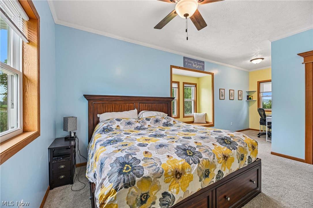 15111 Mt Eaton Road North Rittman, OH 44270 - Photo 15 of 50 Primary bedroom with built-in window seat, ceiling fan / light and carpet flooring