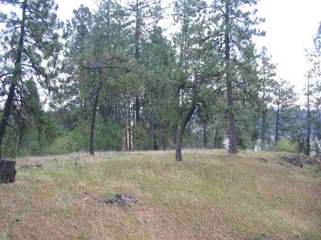 7100 North Bruce Road Spokane, WA 99217 - Photo 8 of 9