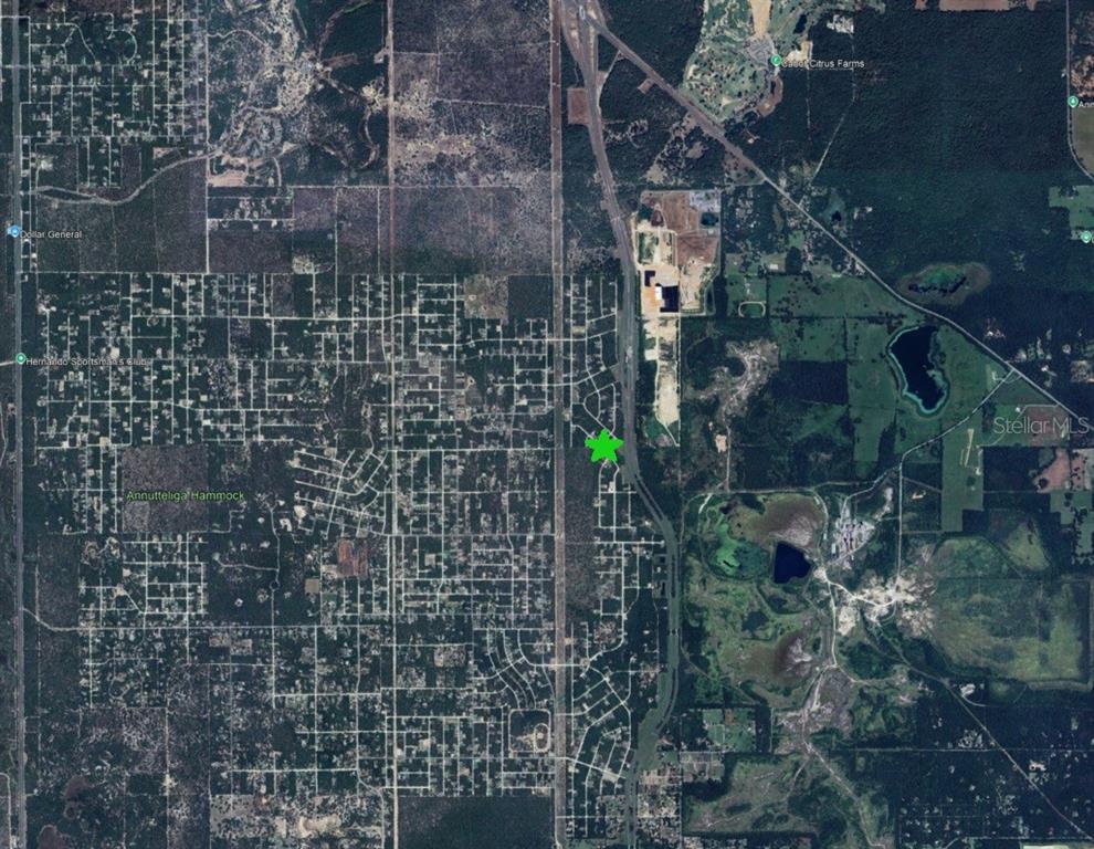 15480 Cliff Swallow Road Brooksville, FL 34614 - Photo 3 of 4