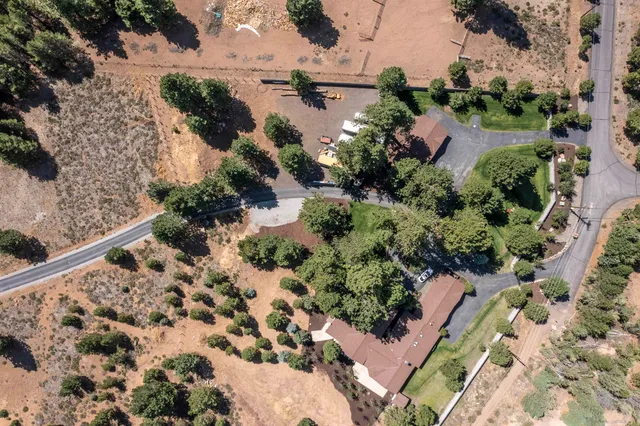a view of a garden with plants and a bench