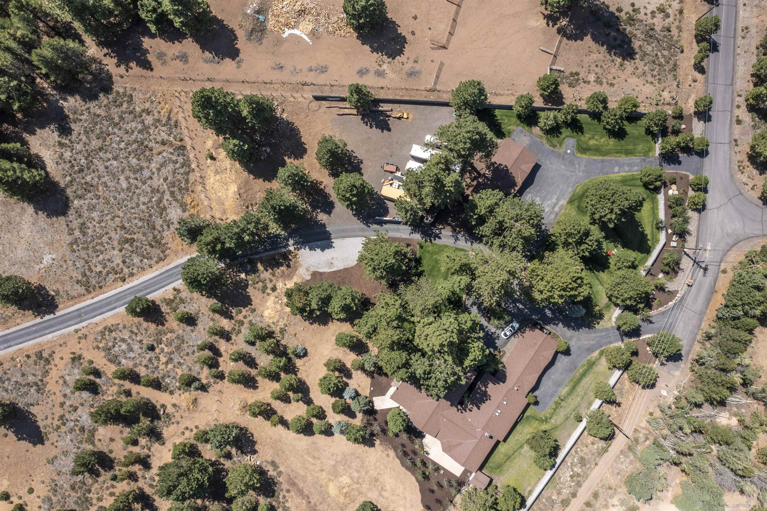 a view of a garden with plants and a bench