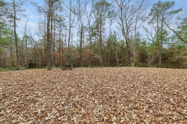 an aerial view of residential houses with outdoor space and trees