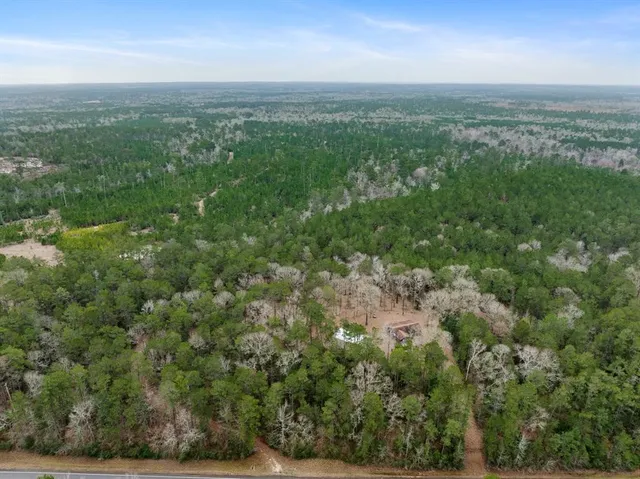 a view of a yard with a tree