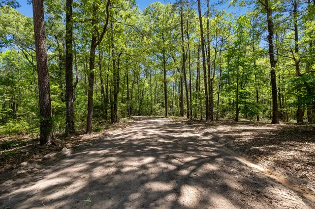 $475,000 | 9200 Farm To Market 62, Corrigan, TX 75939