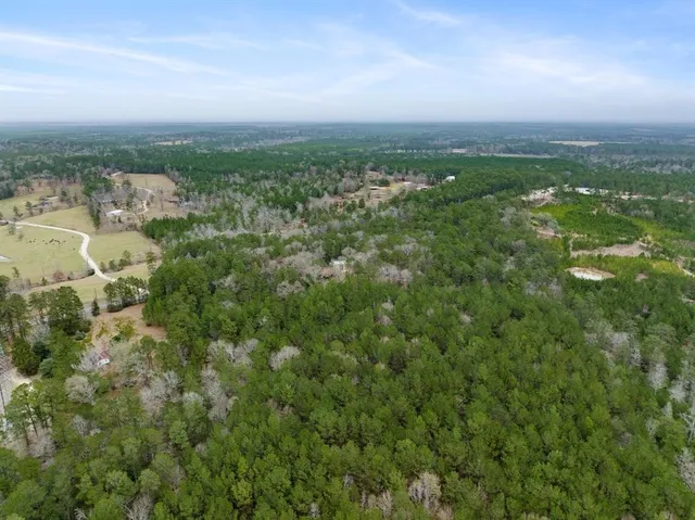 an aerial view of residential houses with outdoor space and trees