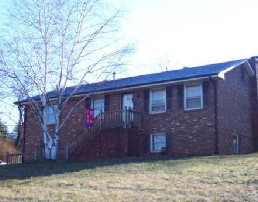 121 Webster Road Roanoke, VA 24012 - Photo 1 of 1 a front view of a house with a yard