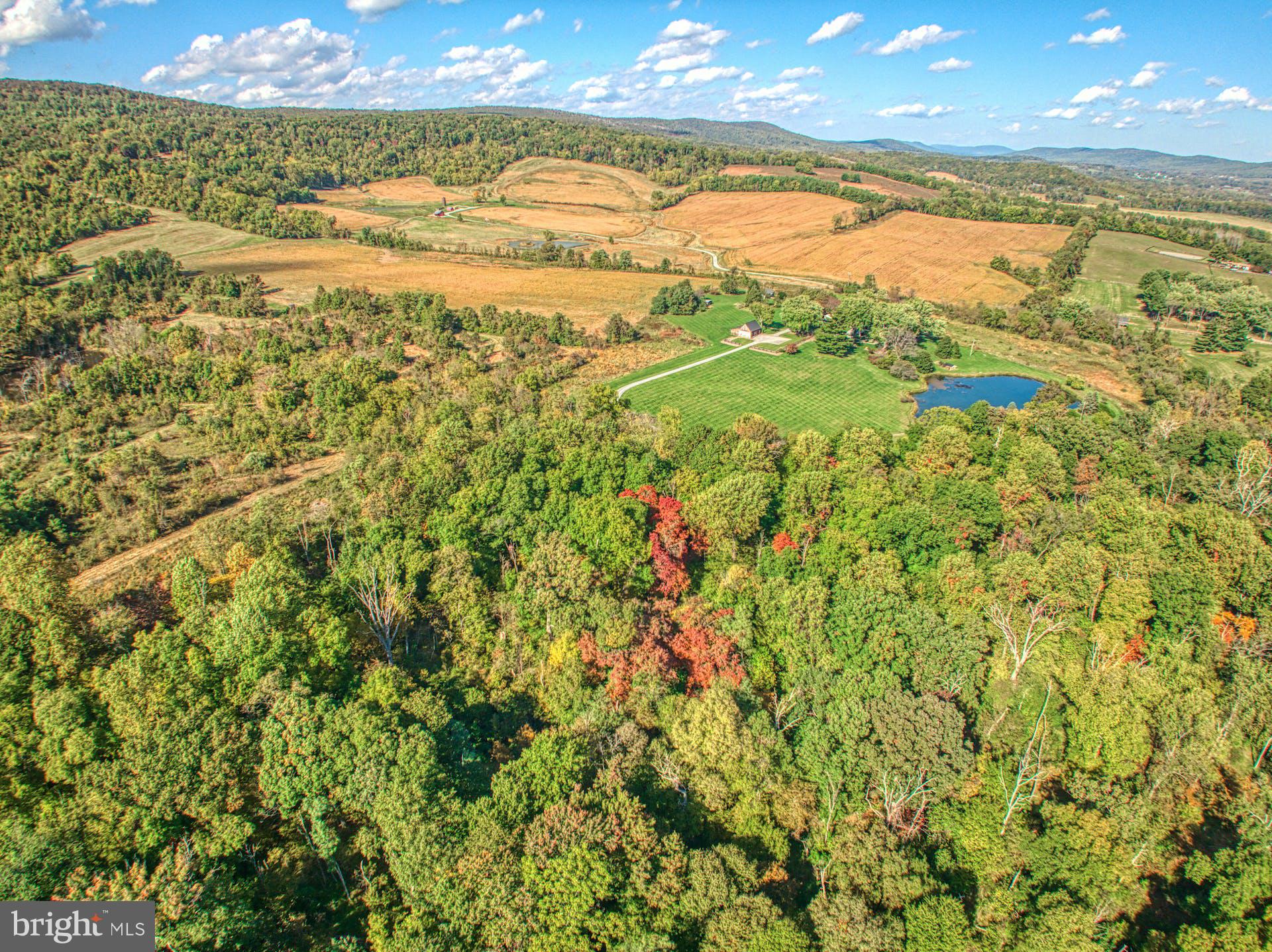 35428 Appalachian Trail Road Round Hill, VA 20141 - Photo 97 of 105