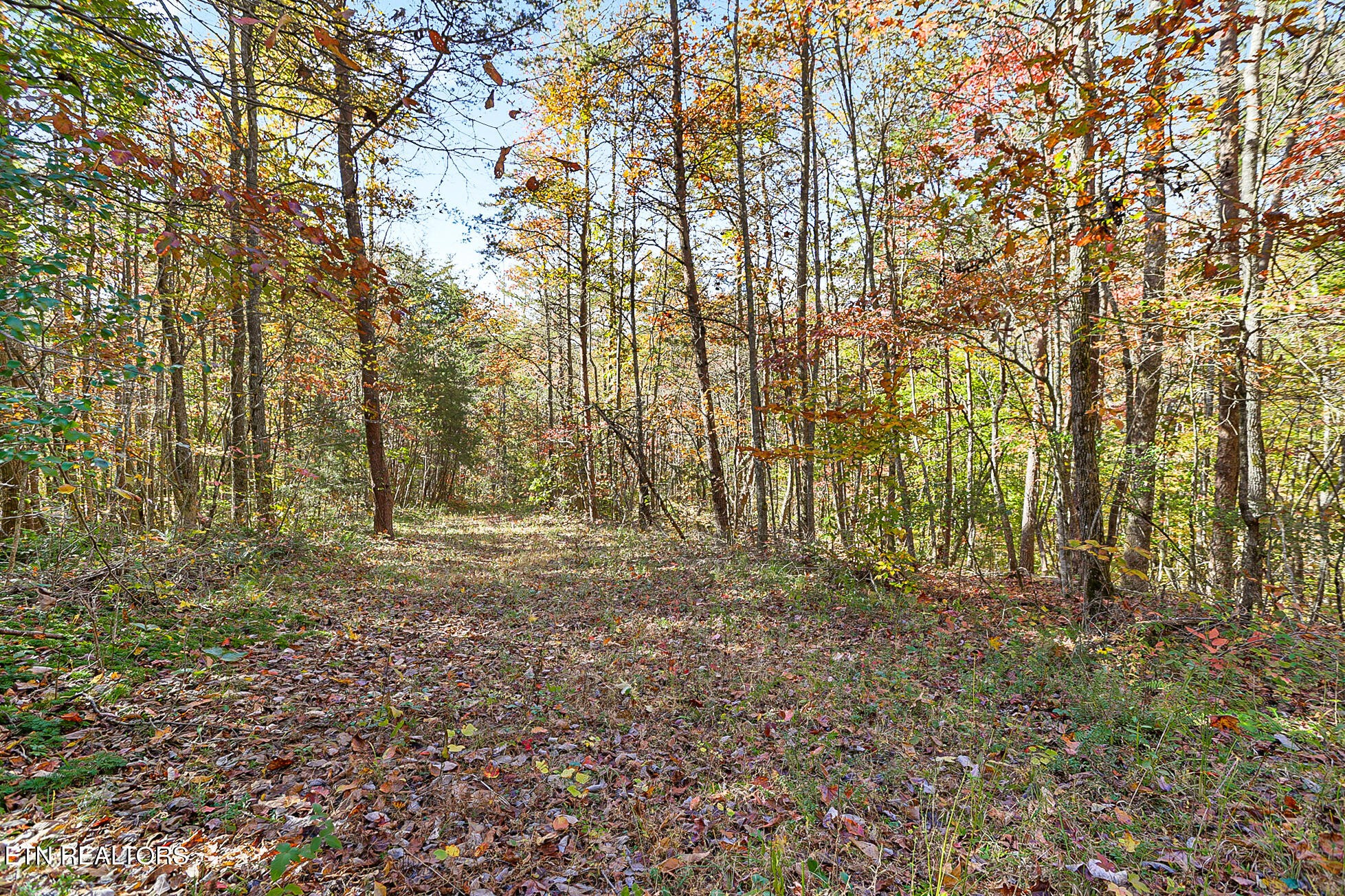 3201 Ballplay Road Madisonville, TN 37354 - Photo 54 of 60