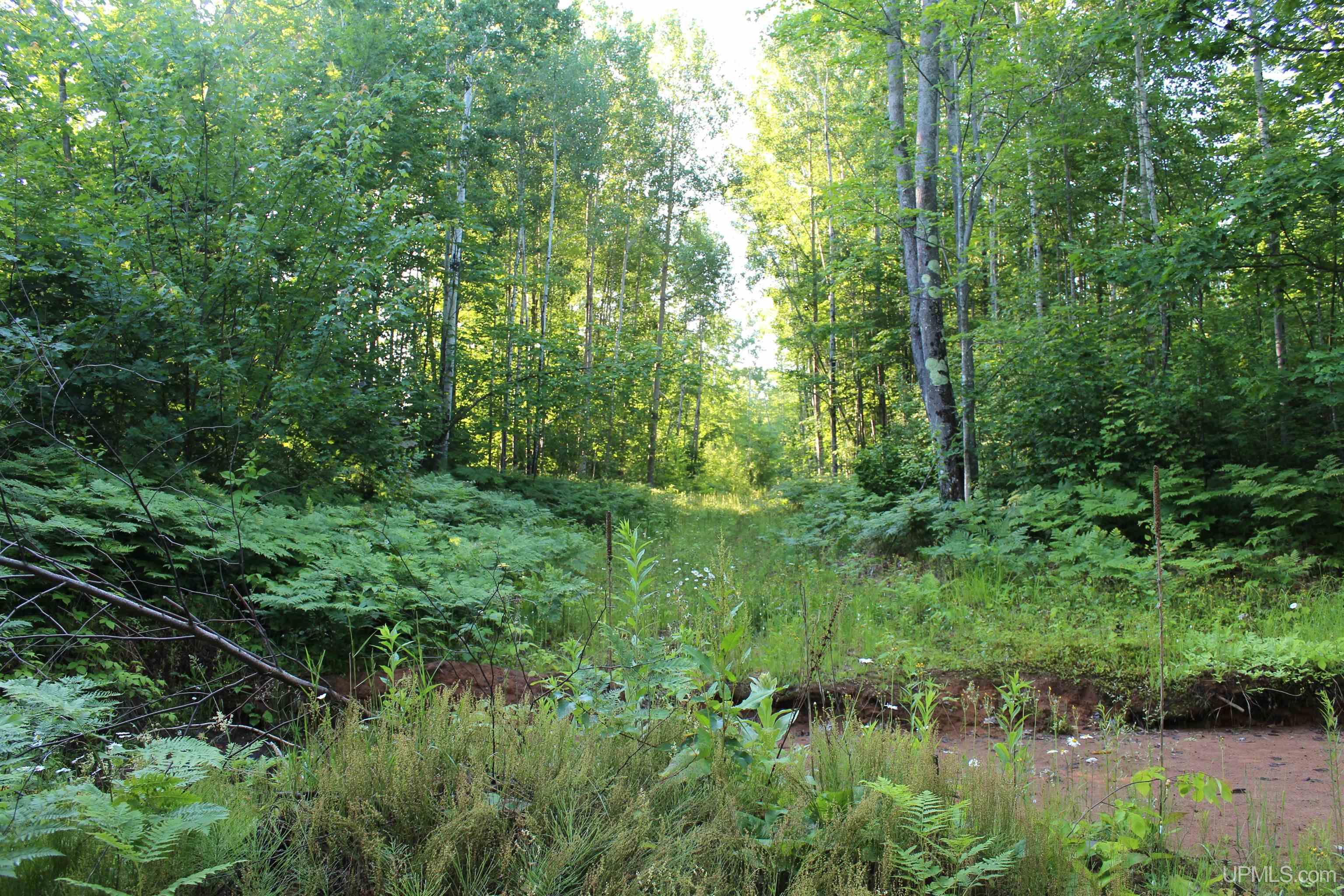 On Alder Cr Road Marquette, MI 49855 - Photo 12 of 20