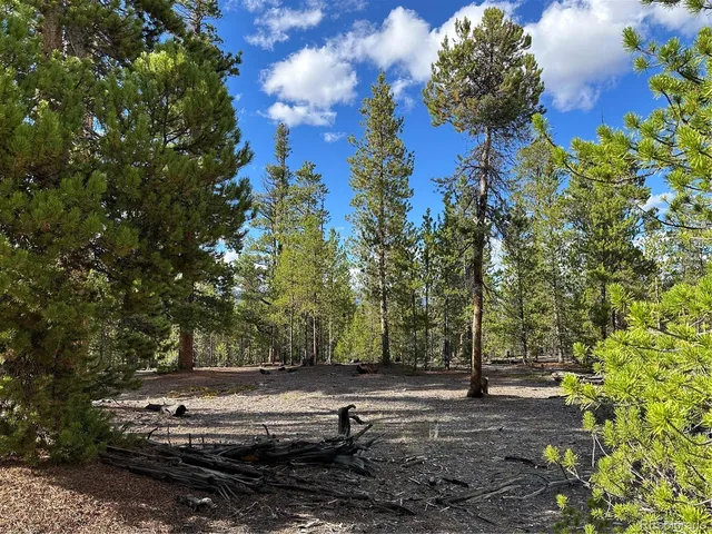 a view of a park with large trees