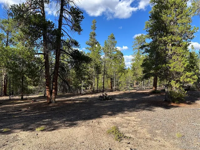 a view of road with trees