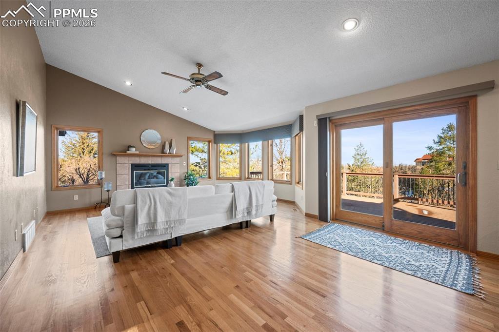 735 Pollux Drive Colorado Springs, CO 80906 - Photo 13 of 50 a living room with furniture and a fireplace