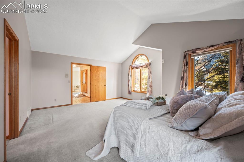 735 Pollux Drive Colorado Springs, CO 80906 - Photo 20 of 50 a bedroom with a bed and window