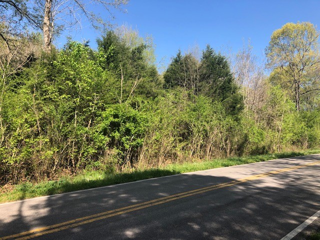 147 Buffalo Road Carthage, TN 37030 - Photo 2 of 13 a view of a yard