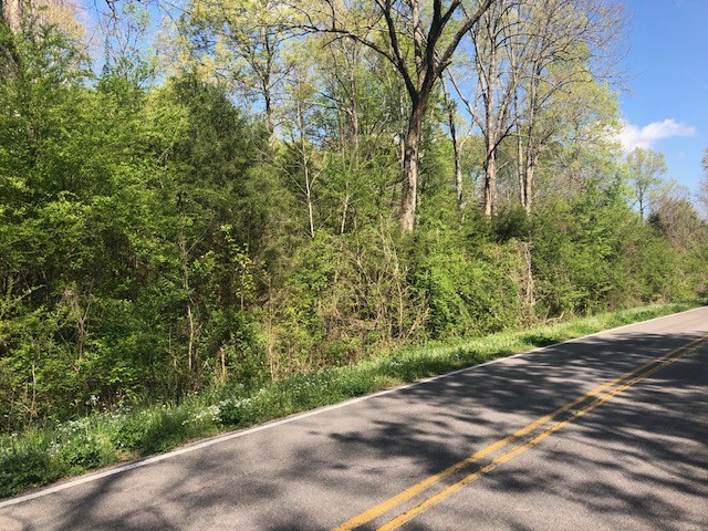 147 Buffalo Road Carthage, TN 37030 - Photo 3 of 13 a view of a yard with plants and a trees