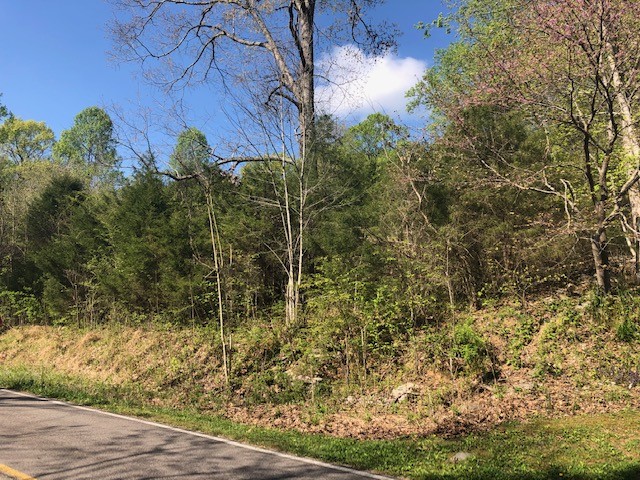 147 Buffalo Road Carthage, TN 37030 - Photo 5 of 13 a view of a yard