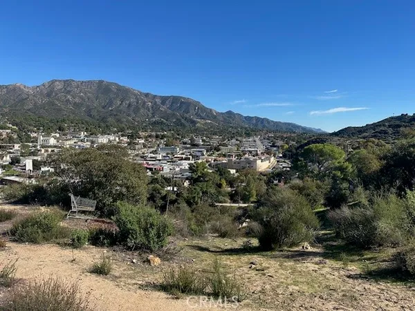 a view of a mountain in the distance