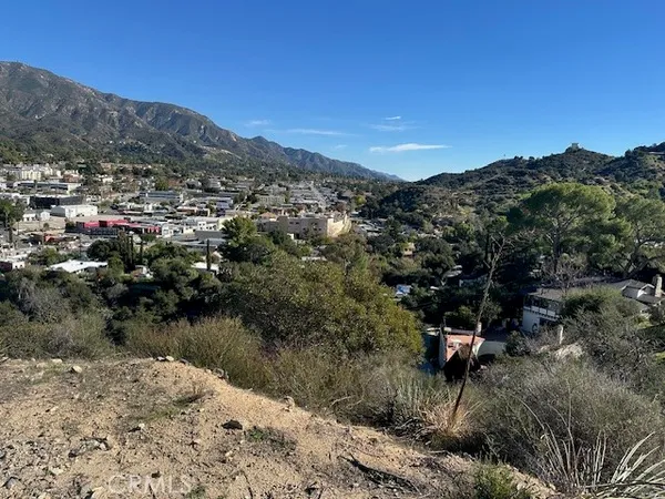 a view of a forest with a mountain in the background