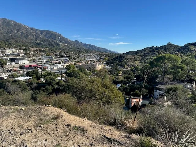 a view of a forest with a mountain in the background