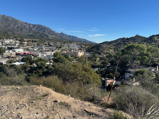 0 Unassigned Tujunga, CA 91042 - Photo 4 of 12 a view of a forest with a mountain in the background