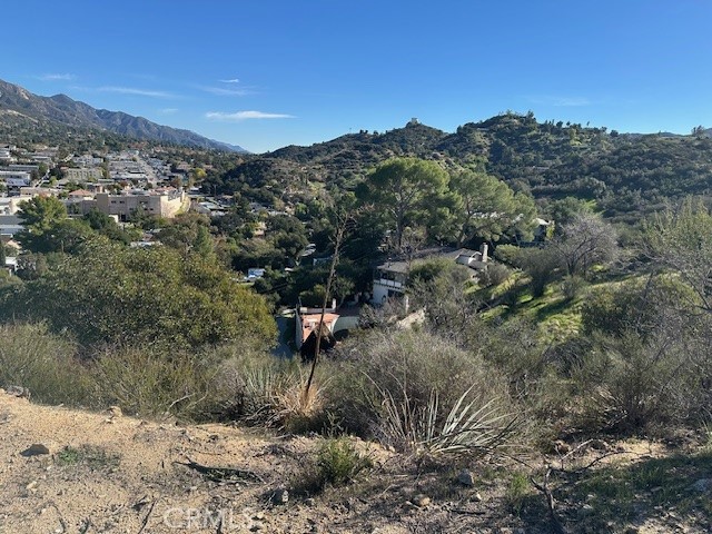0 Unassigned Tujunga, CA 91042 - Photo 5 of 12 a view of a yard with a tree