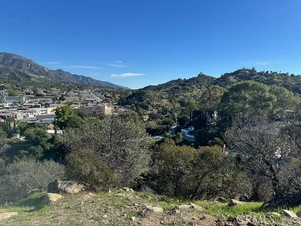 a view of a mountain with a tree in the background