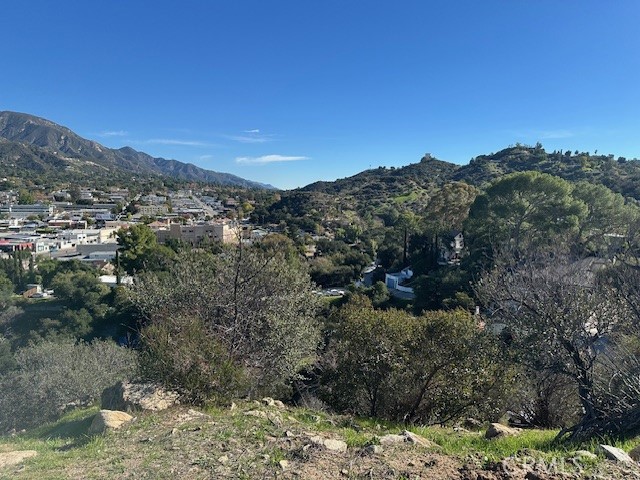 0 Unassigned Tujunga, CA 91042 - Photo 6 of 12 a view of a mountain with a tree in the background