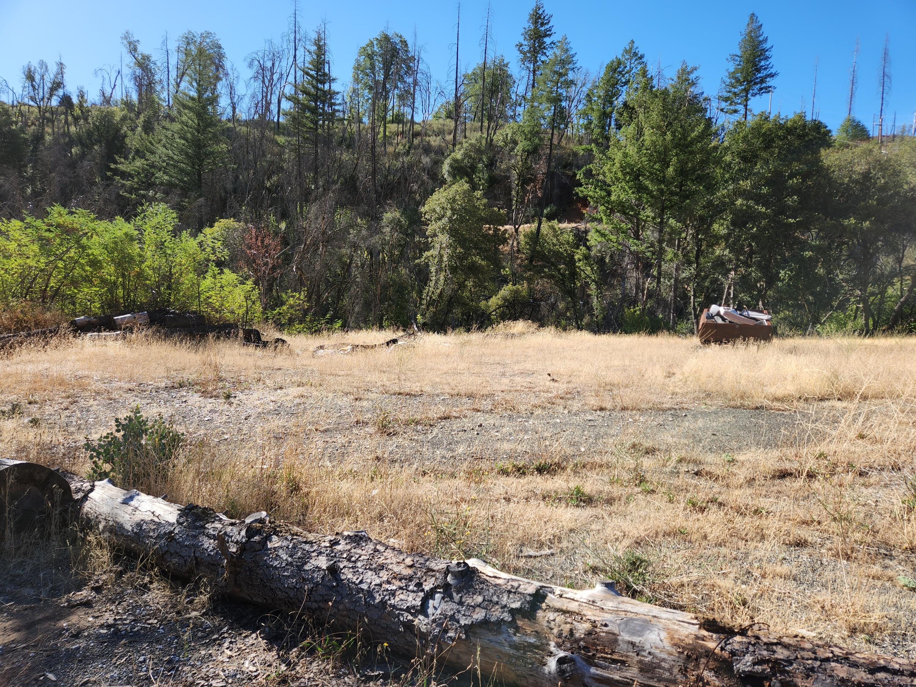 17031 Slate Creek Road Lakehead, CA 96051 - Photo 11 of 47 20240908_094215