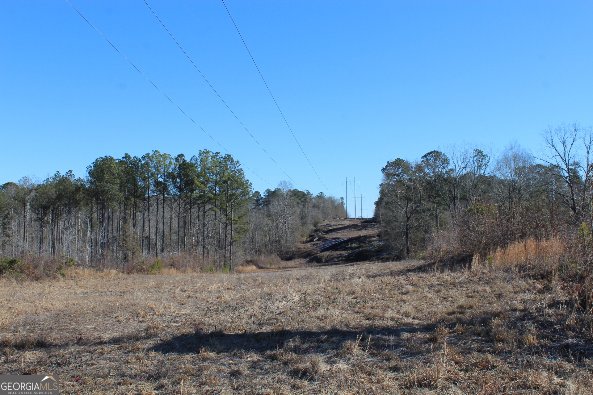 57-ac Victory Road Franklin, GA 30217 - Photo 5 of 9 a view of a backyard