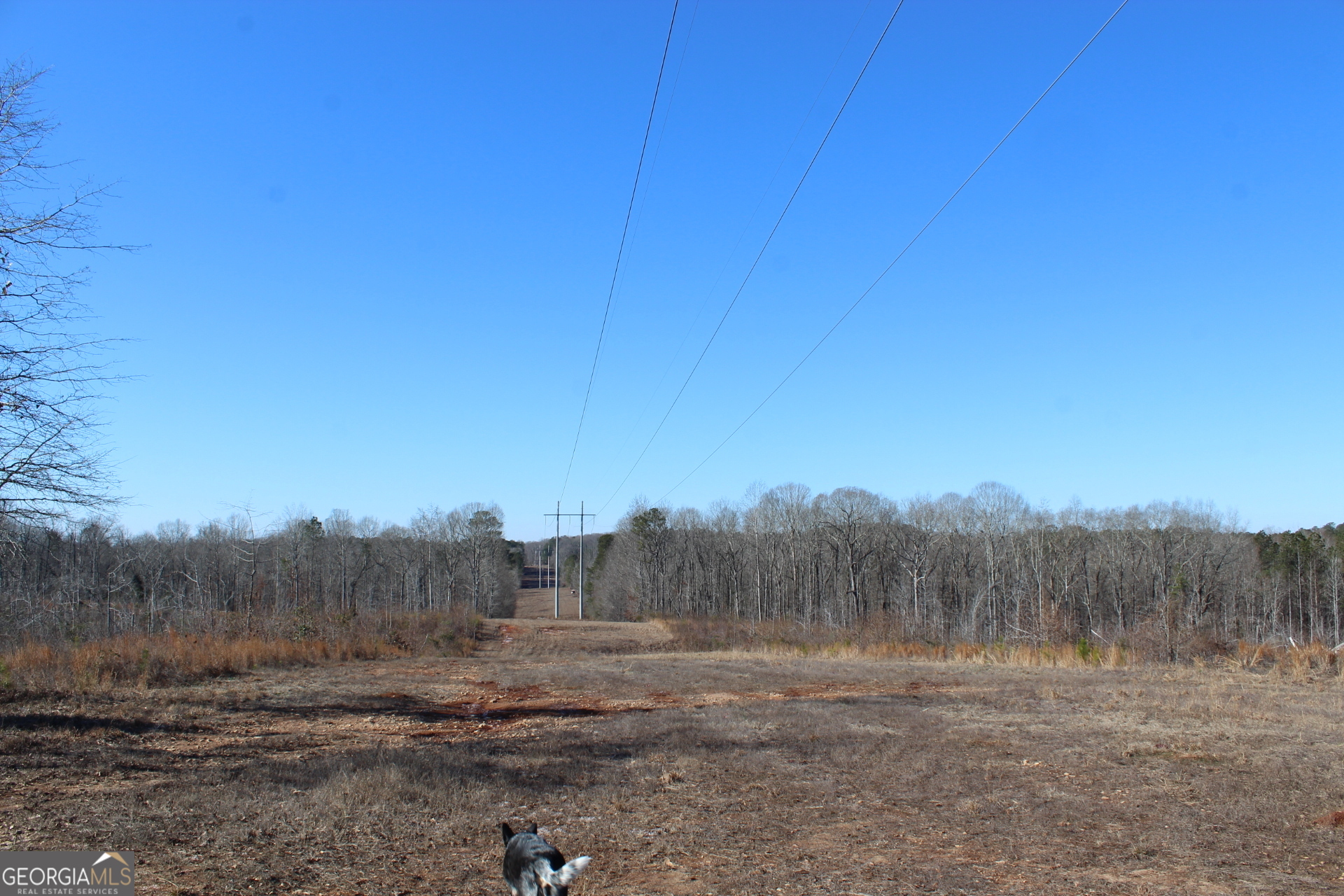 57-ac Victory Road Franklin, GA 30217 - Photo 6 of 9 a view of an outdoor space