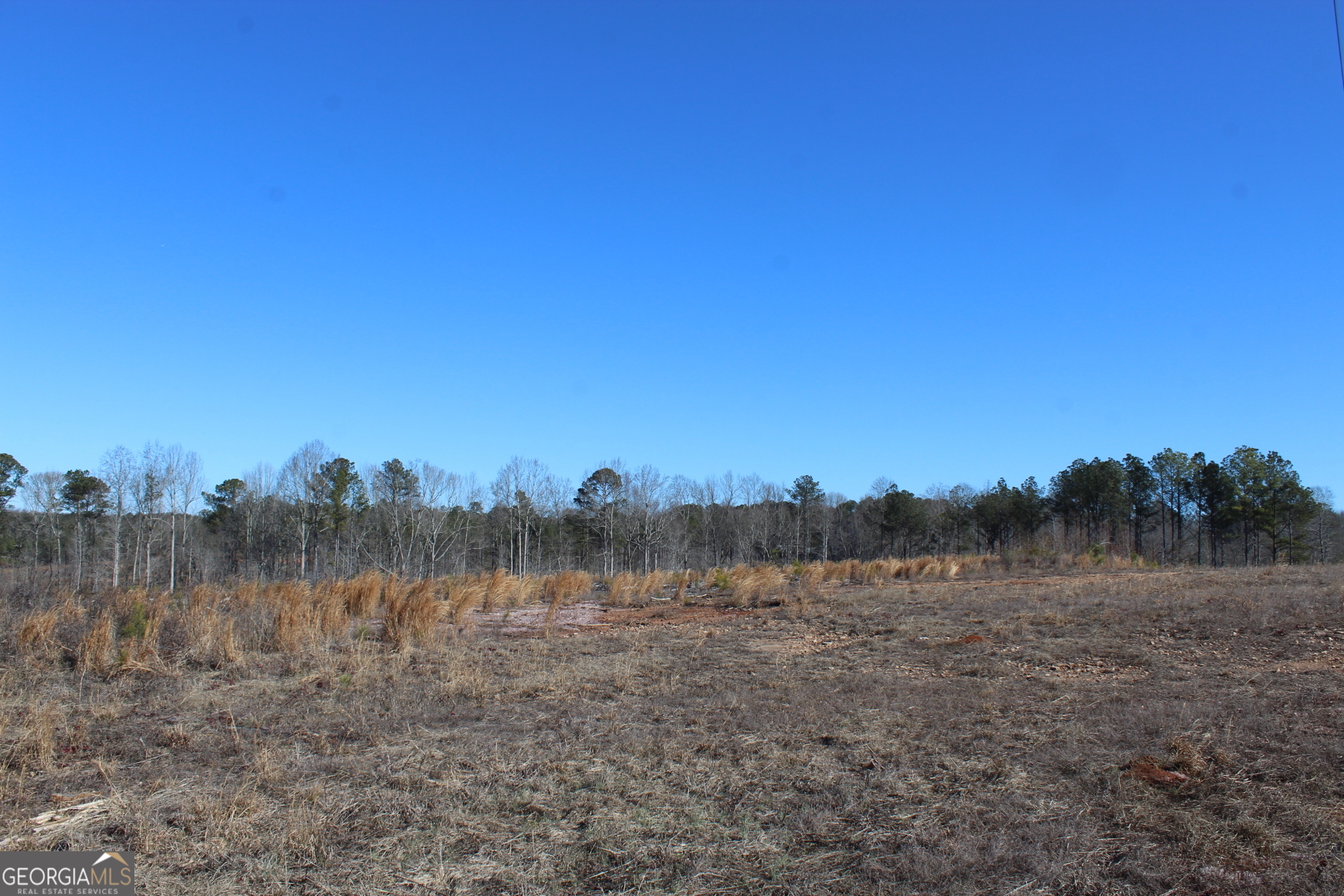 57-ac Victory Road Franklin, GA 30217 - Photo 8 of 9 a view of a field with trees in background