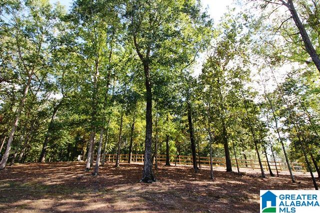90 Cedar Cove Way Alpine, AL 35014 - Photo 3 of 45